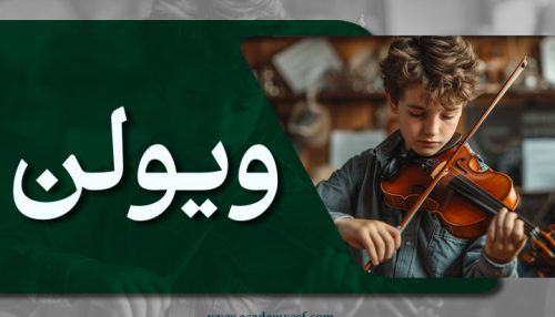 ویولن