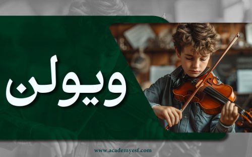 ویولن